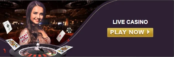 Mesa de cassino ao vivo com dealer profissional no app 587BET